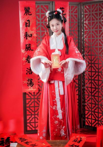 千金女贼电视剧全集免费观看_HD电视剧在线观看