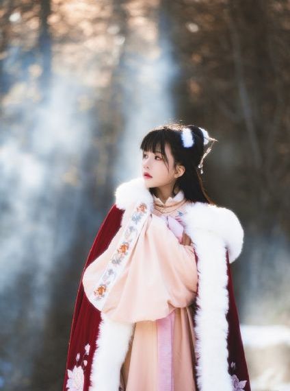 森林里的熊先生在冬眠中未增减版_BD韩语在线观看
